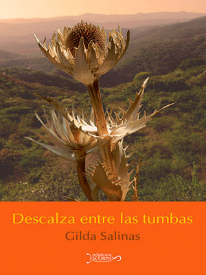cover image of Descalza entre las tumbas